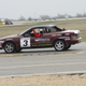Illustration for article titled The 24 Hours Of LeMons Texas Gator-O-Rama Über Gallery: The Japanese